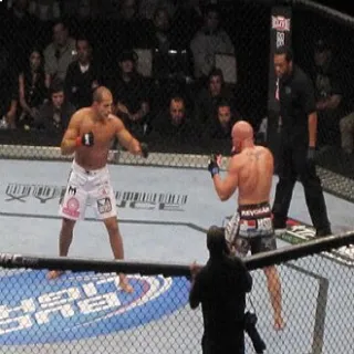 MMA